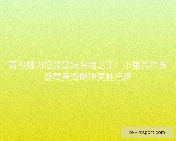 青岛魅力征服足坛名宿之子：小里瓦尔多盛赞黄海明珠更胜巴萨
